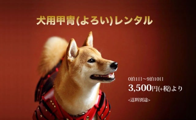 犬用甲冑レンタル｜アレックス株式会社（公式ホームページ）